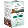 Tulsi Nature