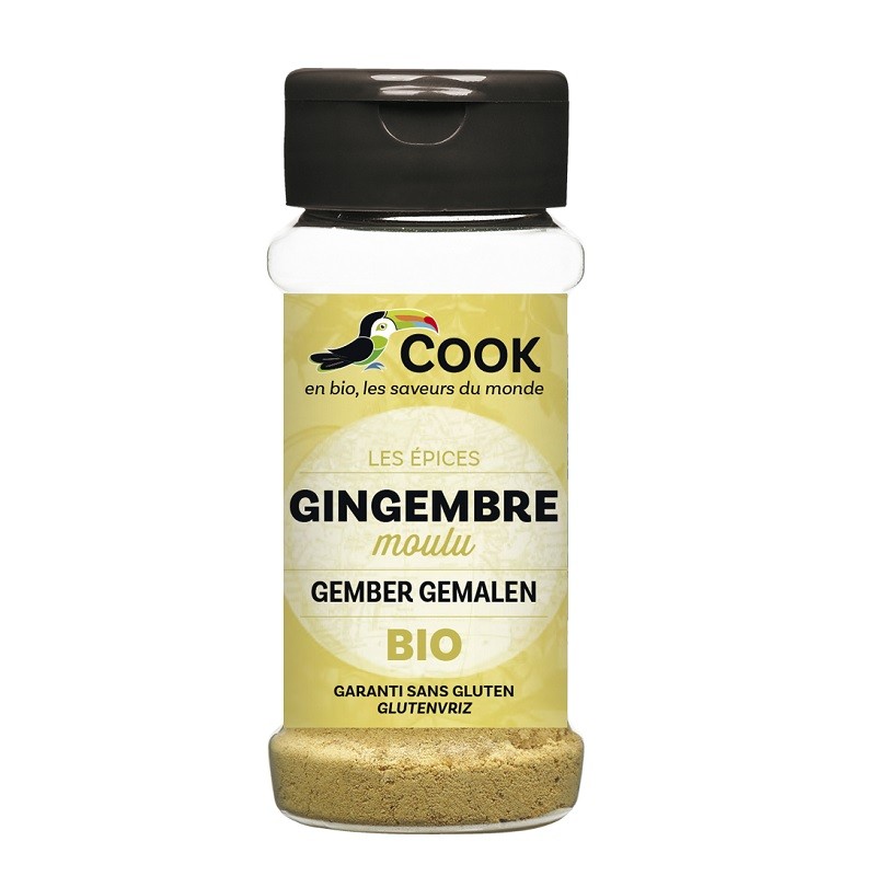 POUDRE DE GINGEMBRE Gingembre moulu