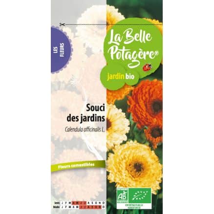 Souci Des Jardins Officinale 