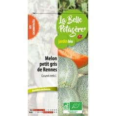Melon Petit Gris de Rennes 