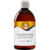 Phospore