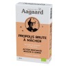 Propolis brute à mâcher