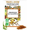 Tisane à sucer Propolis Eucalyptus Biopastilles