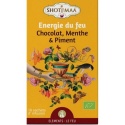 Infusion Energie Du Feu(Chocolat Menthe Piment) X16