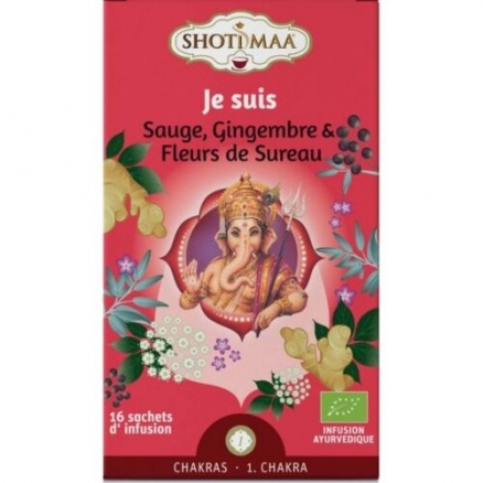 Infusion Je Suis(Sauge Gingembre Fleurde Sureau)X16 