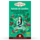 Infusion Spirale De Lumiere(Echinacee Gingembre Cynorrhodon)X16 