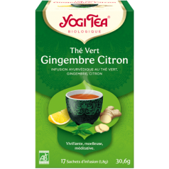 The Vert Gingembre Citron (17 Infusettes) 