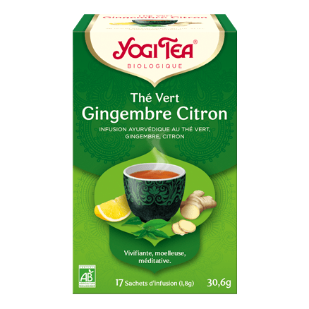 The Vert Gingembre Citron (17 Infusettes) 