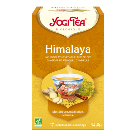 Yogi Tea Curcuma Orange 