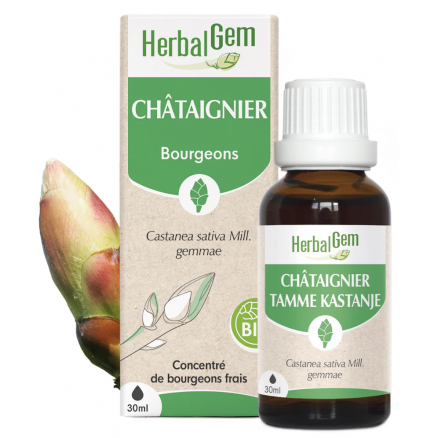 Chataignier Bio 30 Ml 