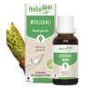 Bouleau Bio 30 Ml 