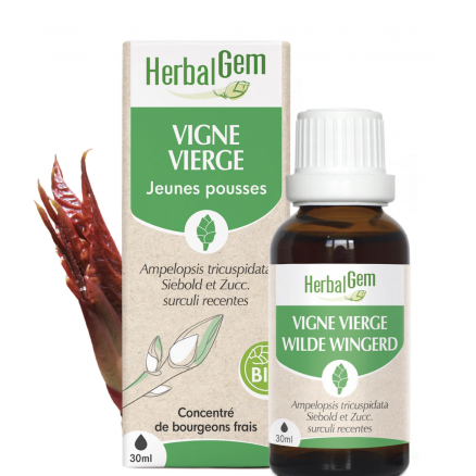 Vigne Vierge Bio 30 Ml 