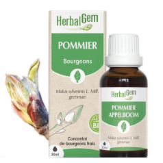 Pommier Bio 30 Ml 