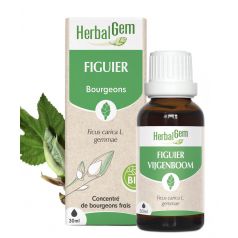 Figuier Bio 30Ml