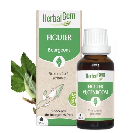 Figuier Bio 30Ml