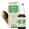 Tilleul Spray Bio 15 Ml