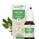 Figuier Spray Bio 15 Ml