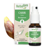 Cassis Spray Bio 15 Ml