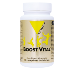 Boost Vital 30Cps VITALL +