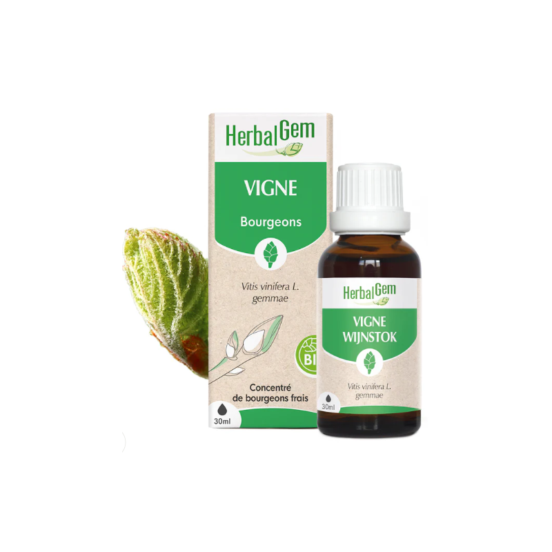 VIGNE 30ML Herbalgem