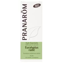 Huile Essentielle Eucalyptus Radie Feuille 10Ml