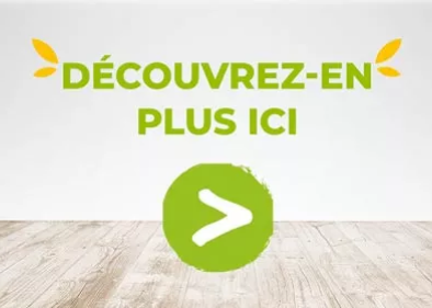 Découvrez-en plus ici